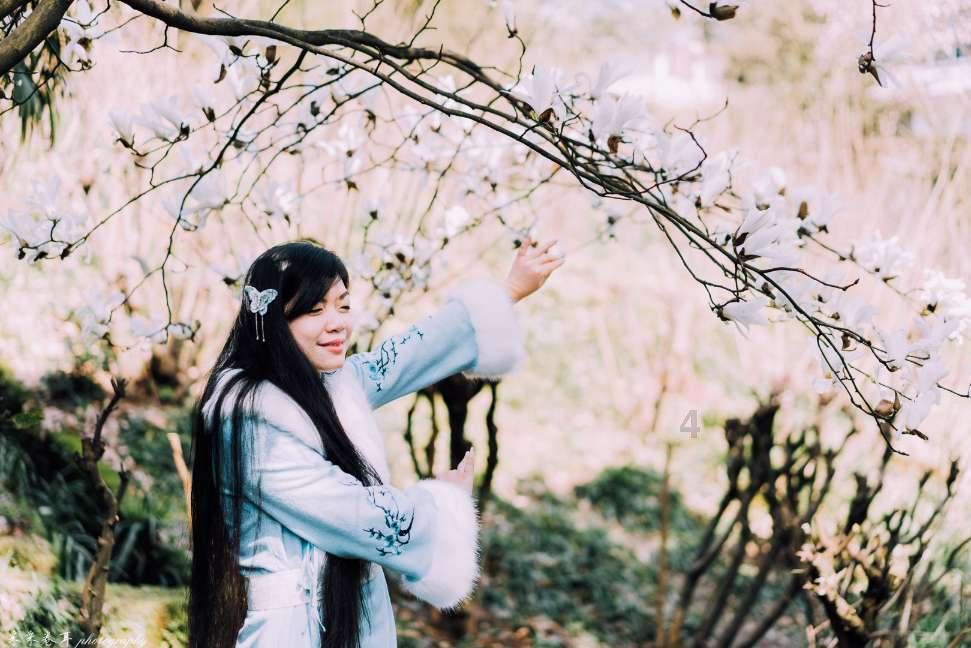 五彩鹦鹉救援