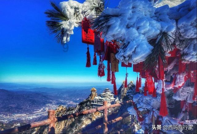 拯救精灵的土地6